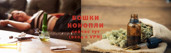 метадон Новодвинск
