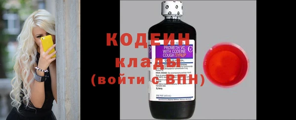 дмт Нягань