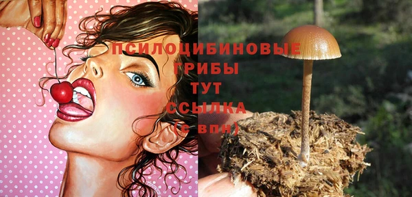 метадон Новодвинск