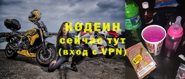 стаф Новозыбков