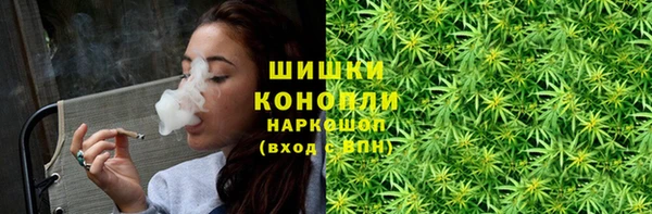стаф Новозыбков