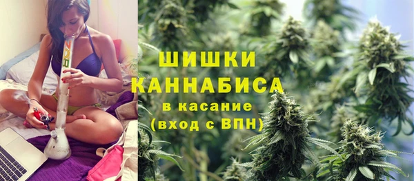 дмт Нягань