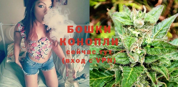 стаф Новозыбков