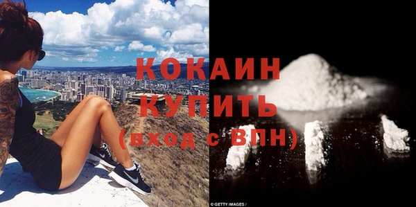 стаф Новозыбков