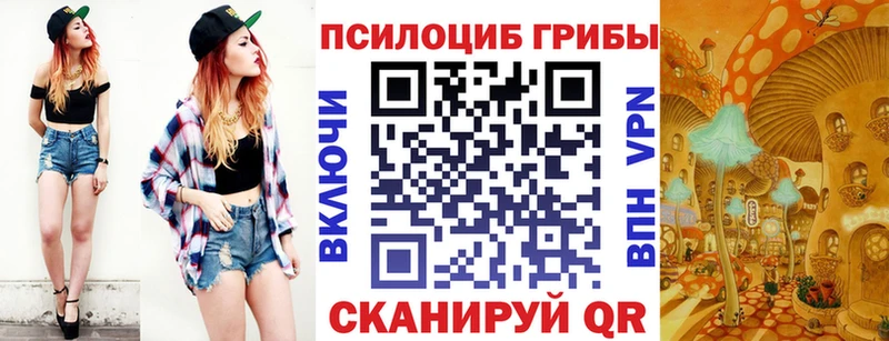 где найти   Иннополис  Галлюциногенные грибы Cubensis 